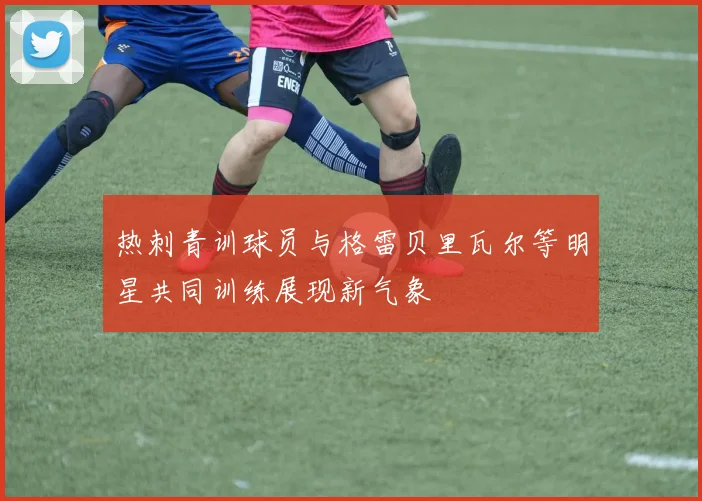热刺青训球员与格雷贝里瓦尔等明星共同训练展现新气象